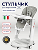 Стульчик для кормления Peg-perego Tatamia Follow Me Ice